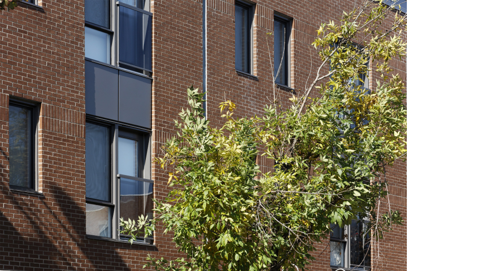 Réseau Habitation Femmes